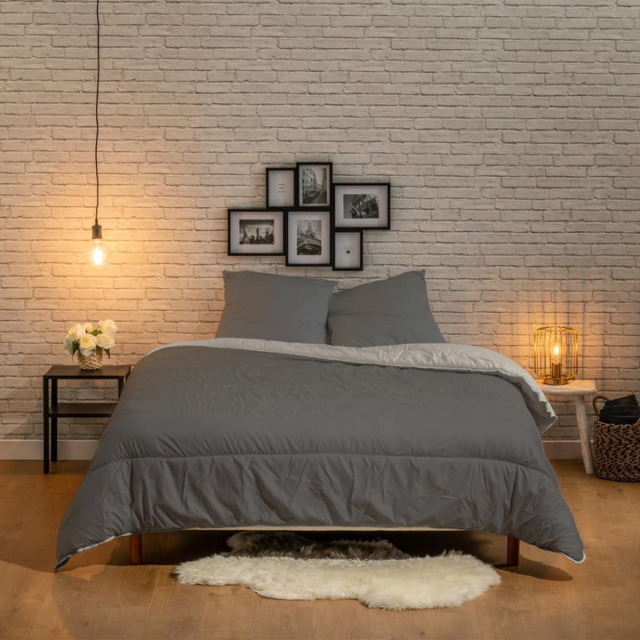 Bleu Câlin plapumă reversibilă bicoloră pentru 2 persoane, microfibră, burgundy/pepper, 220X240 cm Plapumi si pilote Naty Shop Grafit/argilă refractară 220 X 240 Cm