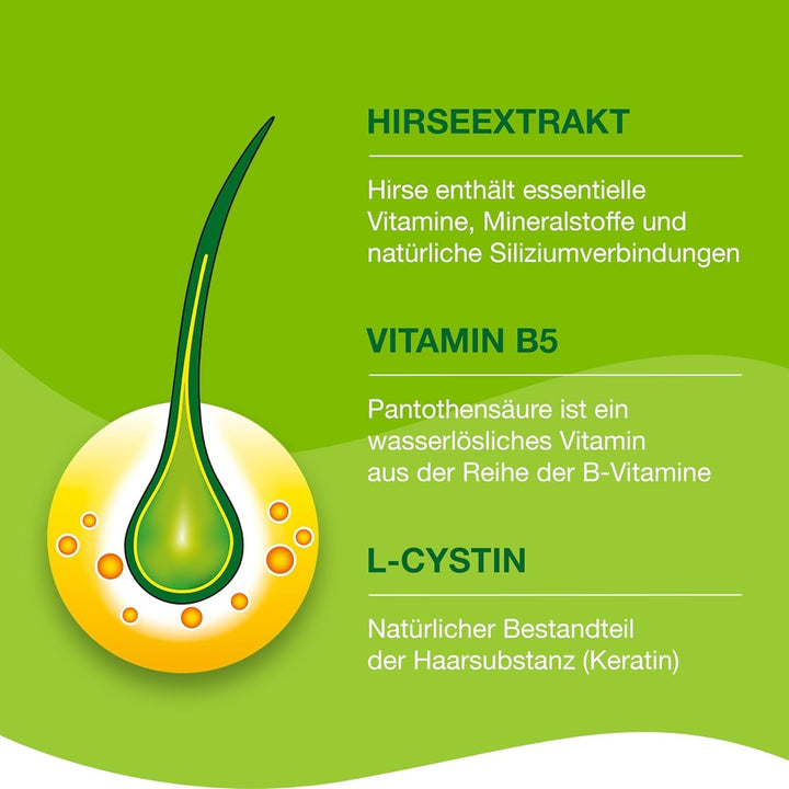 Priorin capsule - capsule de păr cu nutrienți pentru rădăcinile părului - pentru tulburări hormonale ereditare de cădere și creștere a părului - 1 x 120 capsule Ingrijirea parului Naty Shop