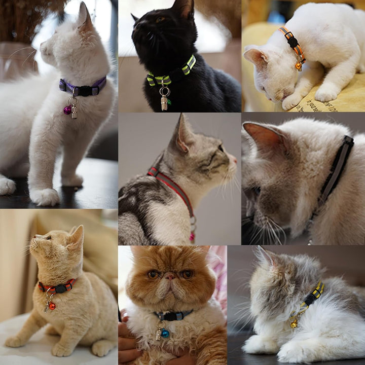 Zgardă reflectorizantă pentru pisici, 12 bucăți, cu nume și adresă și închidere de siguranță, zgardă reglabilă pentru pisoi, accesorii personalizate pentru animale de companie (12 culori și 2 etichete de identificare)