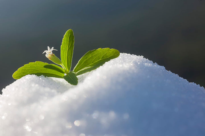 Stevia 1:1 (Erythrit - Stevia) - Natürlicher Zuckerersatzstoff, 1000 G Indulcitori Naty Shop