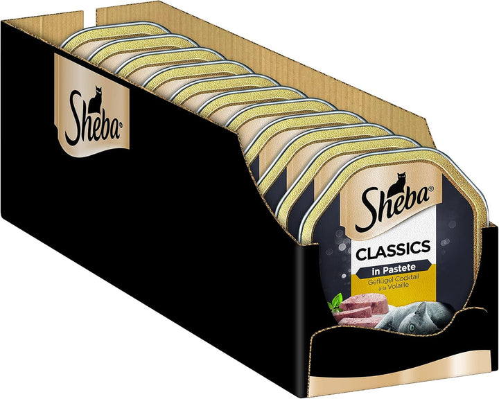 SHEBA Bowl Hrană umedă pentru pisici Clasici în pateu cu somon 2 X 11 X 85G