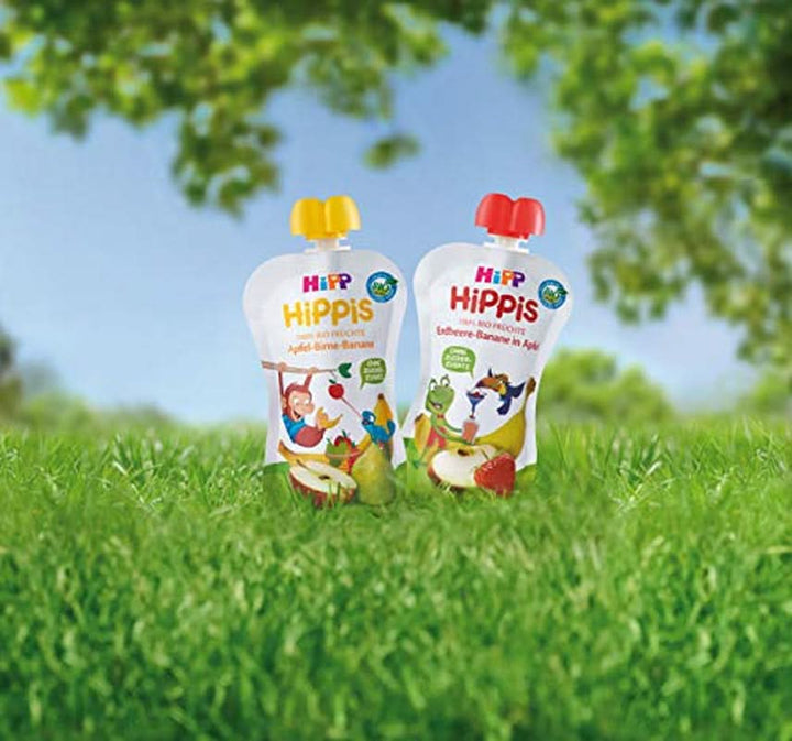 Pungi de stoarcere Hipp Super-Hippis, acerola de rodie in mere-zmeura, fructe 100% bio fara zahar adaugat, 6 pungi de 100 g Mama si Copilul Naty Shop