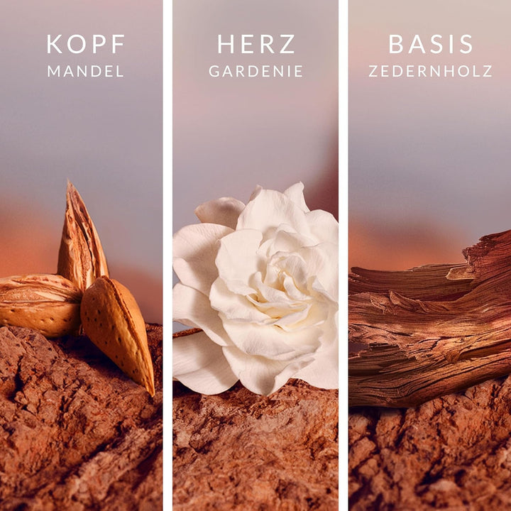 Leger Signature Eau De Parfum, parfum feminin senzual pentru femei cu migdale, lemn de cedru și mosc