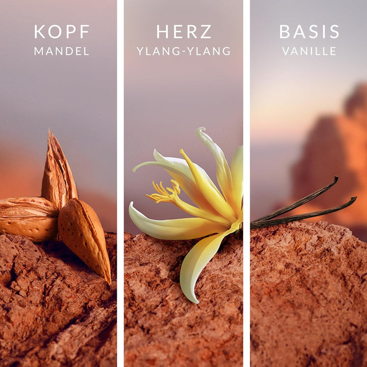 Apă de parfum Wildflower pentru femei, parfum feminin rafinat, de chihlimbar, cu piersică, ylang ylang și vanilie, 50 ml