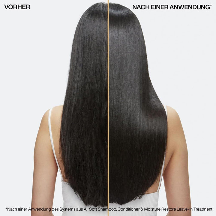 Redken, Șampon pentru păr uscat și fragil, revitalizează și hidratează Duș și baie Redken
