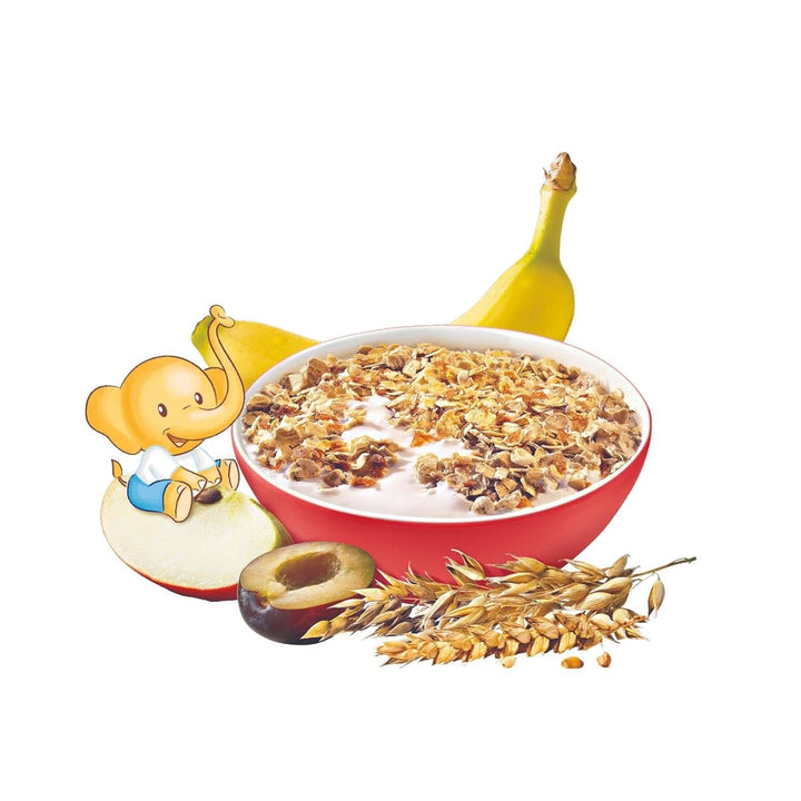 Muesli de fructe ecologic Hipp, pachet de 6 x 200 grame Cereale Naty Shop