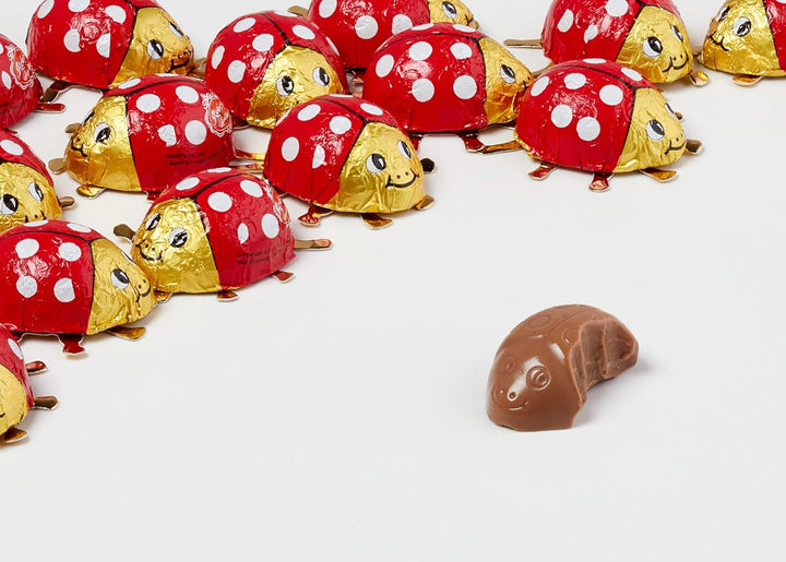 Reber lucky beetle bag - sac de 15 gândăcei Bomboane de Ciocolata Naty Shop