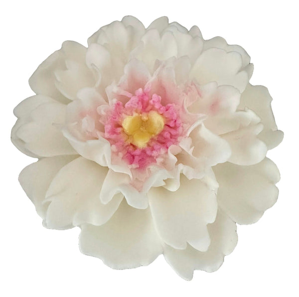 Decoratiune comestibila din zahar, Bujor alb Decoratiuni din Pasta de Zahar Nati Shop
