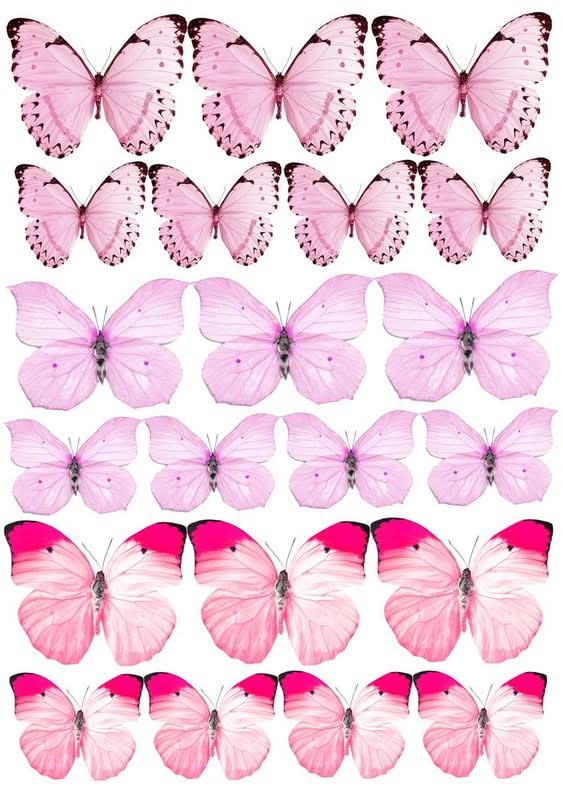 Imagine comestibila, Icing, topper Imagini comestibile Nati Shop