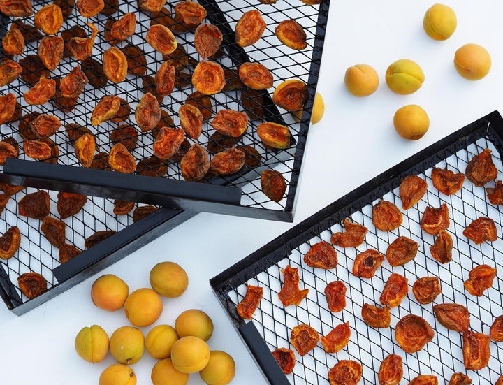 Mundo Feliz Caise uscate cu sâmburi din agricultura ecologică, 2 x 500 g Produse deshidratate Magazinul meu